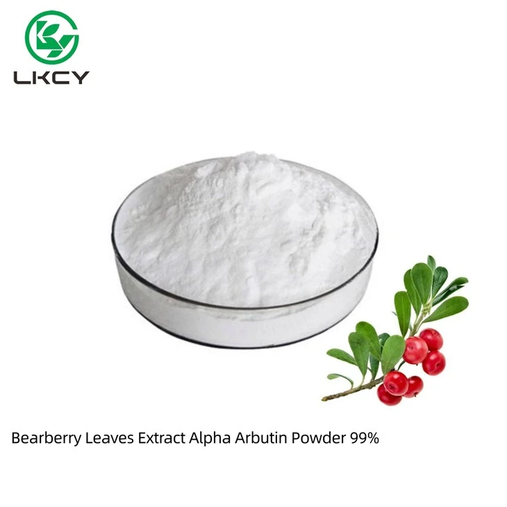 Duilleoga Bearberry Sliocht Púdar Alfa Arbutin