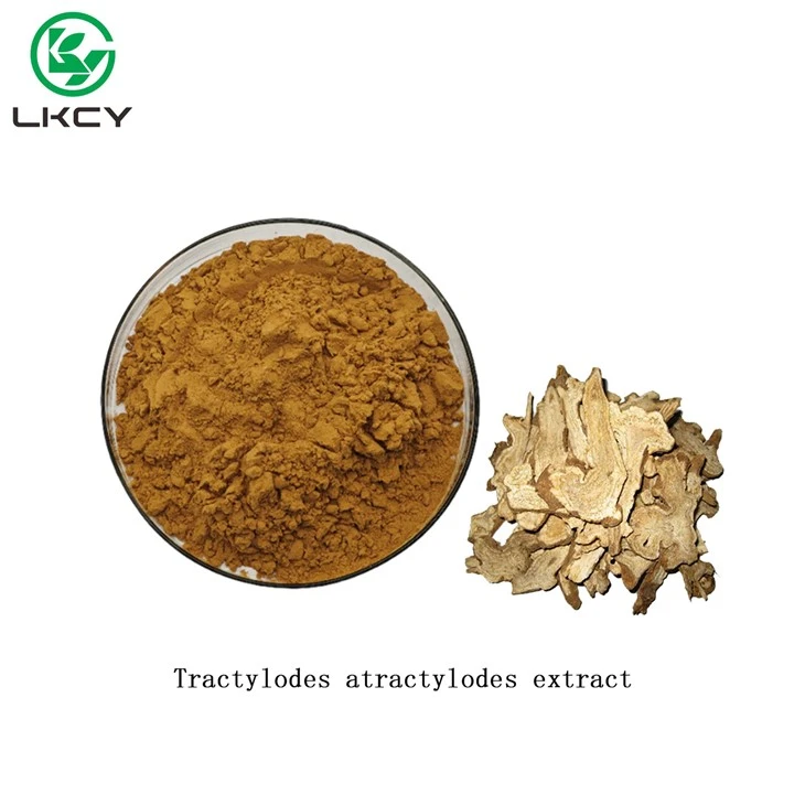 Sliocht Atractylodes Tractylodes